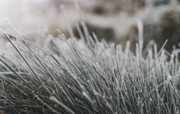 SC tem o inverno mais frio dos últimos 25 anos, aponta levantamento