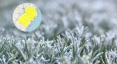 Mínimas de até 3°C e alerta de geada surpreendem quase 700 cidades do Sul do Brasil; veja onde o frio será maior
