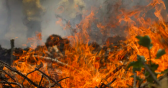 Incêndios destruíram quase 25% do território brasileiro nos últimos 40 anos