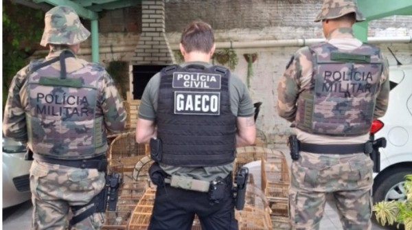 Operação é deflagrada contra rede de tráfico de animais em SC e outros estados