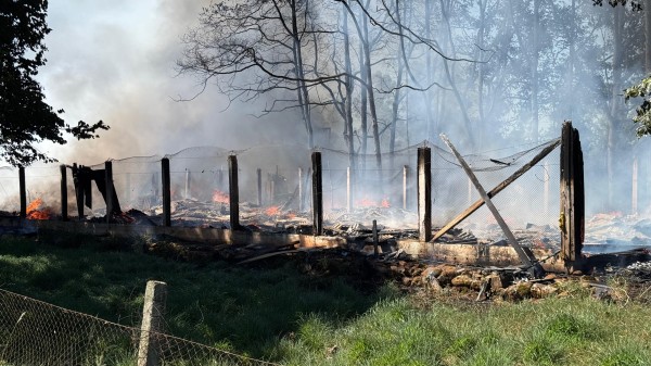 Incêndio destrói galpão de recicláveis