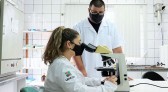 SC terá testes de vacina inédita no mundo contra toxoplasmose em gatos