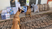 BPFRON apreende arma e mais de dois mil maços de cigarros contrabandeados