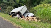 Caminhão tomba na BR-277 e carga é saqueada por moradores indígenas