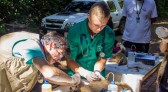 UFFS desenvolve projeto para atendimento de animais silvestres da região