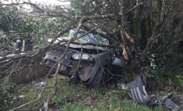 Carro colide contra árvores após se envolver em acidente na BR-282