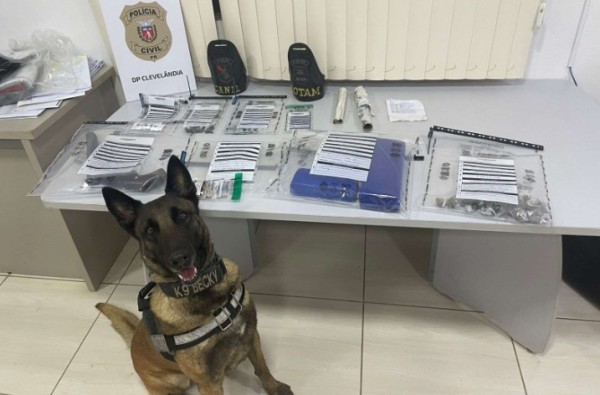 PCPR e PMPR realizam operação e prendem pessoas por tráfico e furto