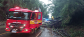 Temporal causa queda de árvores e bloqueia BR-282