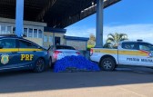 300 kg de maconha são apreendidos em carro roubado na BR-153