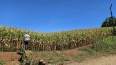 Sicoob e Epagri promovem Giro da Safra no Oeste de SC