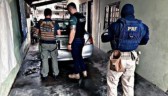 Operação mira grupo que teve lucro milionário com anúncios falsos de carros em SC e no PR