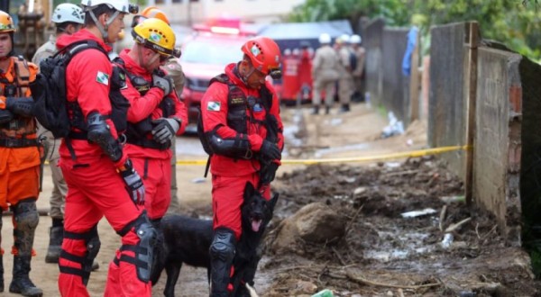 Paraná manda mais sete bombeiros e três cães para ajudar o Rio Grande do Sul