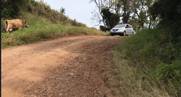 Melhorias na linha Bela Vista a partir desta quarta-feira
