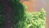 Mulher de 84 anos é encontrada morta em açude no interior