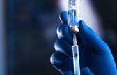 Saiba quando vacina contra chikungunya aprovada pela Anvisa chega à população