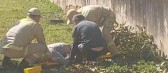 Homem de 69 anos sofre queda durante poda de árvore