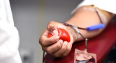 Dia Mundial do Doador de Sangue: saiba mais sobre a doação regular