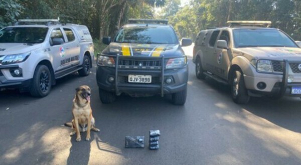 Ação conjunta entre PRF, PM e PMRv de combate aos crimes transfronteiriços apreende drogas no Oeste Catarinense