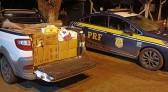 PRF apreende cerca de uma tonelada de queijo trazido ilegalmente da Argentina
