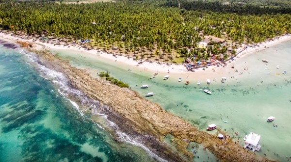 Barulho de barco e de turistas afeta comunicação de peixes, diz estudo