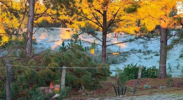 Semana começa com frio intenso, geada e temperaturas próximas de 0°C em Santa Catarina