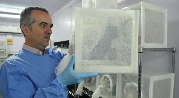 Brasileiro criador do “Aedes” que bloqueia dengue é eleito pela Nature L