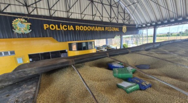 PRF apreende mais de três toneladas de maconha escondidas em carga de soja na BR-163