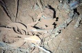 Dois jovens morrem em grave acidente entre moto e caminhonete na PR-471