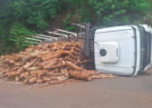 Caminhão carregado com madeira tomba após ficar sem freios na SC-161, em Flor do Sertão