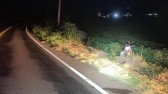 Casal fica ferido após motocicleta sair da pista e tombar