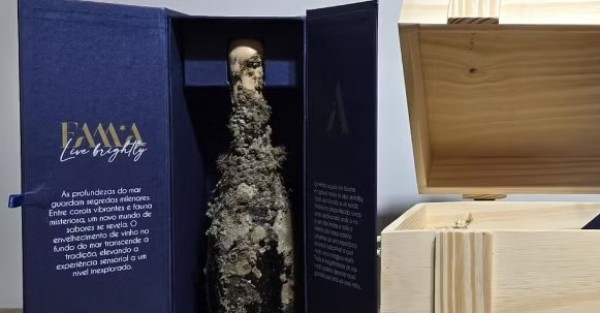 'Adega no fundo do mar': vinho que passou 12 meses submerso em SC será sorteado; entenda