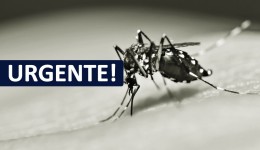 Município registra mais duas mortes por conta da dengue