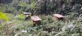 Polícia recupera 13 caixas de abelhas furtadas em setembro em Ponte Serrada