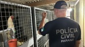 PCPR apreende 390 animais em megaoperação contra rede de tráfico internacional