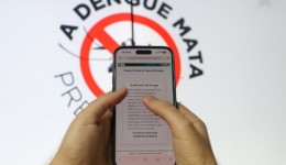 SC lança aplicativo para auxiliar na redução de casos graves de dengue no estado