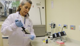 Alimentação escolar: controle rigoroso garante cardápios nutritivos e saudáveis