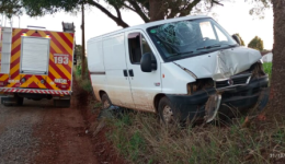 Homem fica ferido após colidir veículo contra árvore