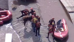 Cavalo “Caramelo” é resgatado após ficar ilhado em telhado no RS